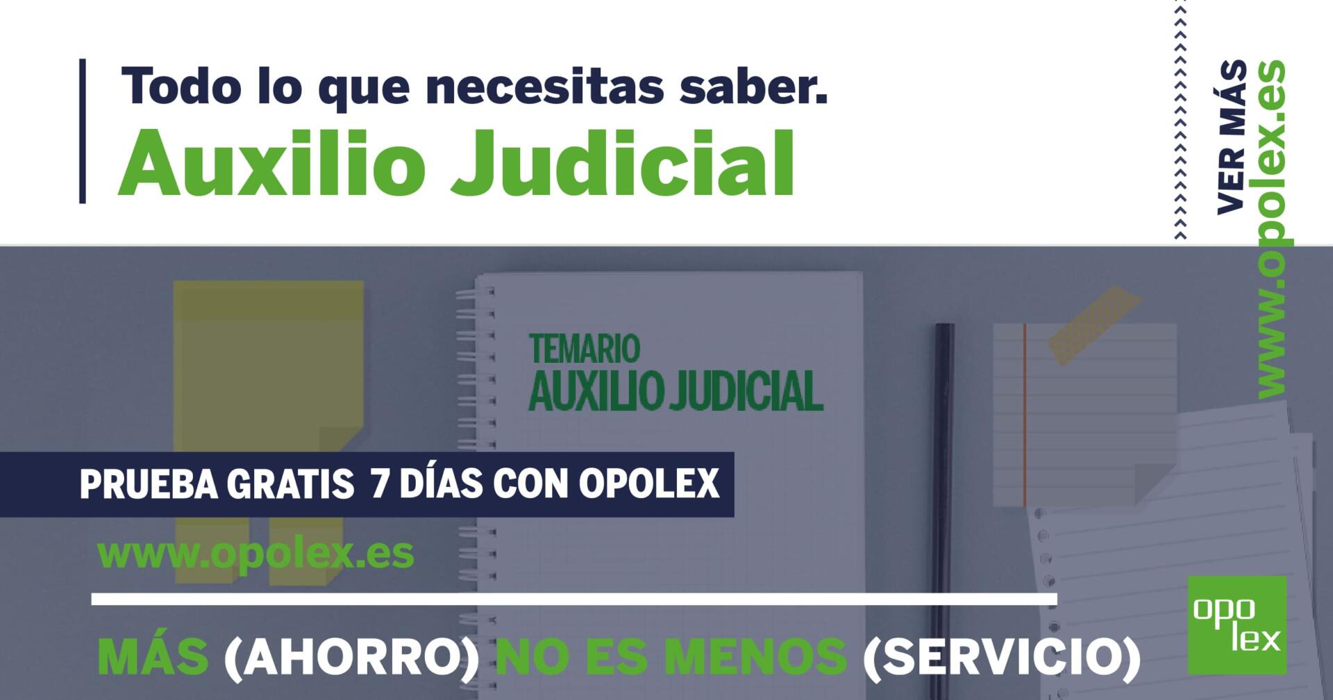 Temario Auxilio Judicial