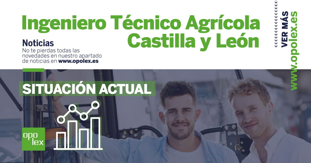 Ingeniero Técnico Agrícola de CyL descripción de la convocatoria